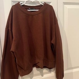 Brown Zara Sweatshirt